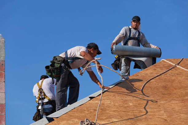 Best Roof Repair Services  in Broadway, NC