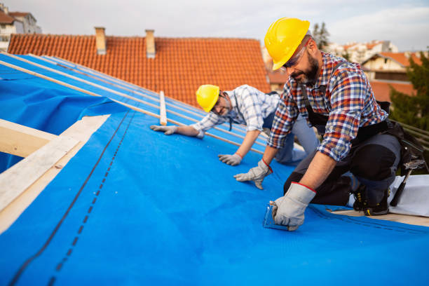 Best Roof Gutter Cleaning  in Broadway, NC